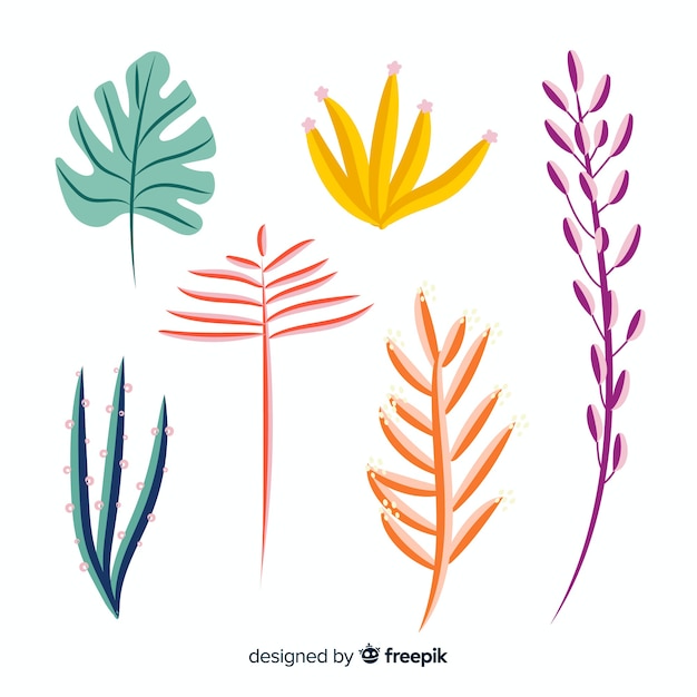 Free vector hand drawn tropical flowers and leaves