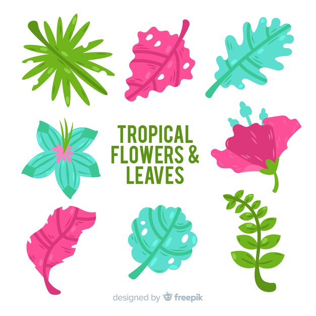 Hand drawn tropical flowers and leaves