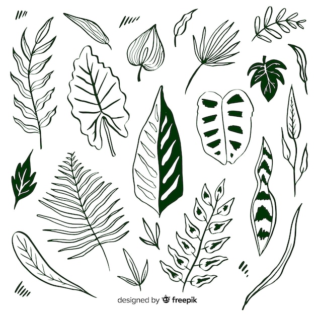 Hand drawn tropical flowers and leaves