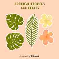 Free vector hand drawn tropical flowers and leaves