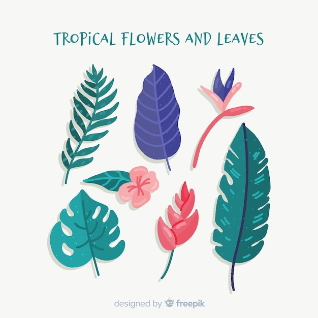 Hand drawn tropical flowers and leaves