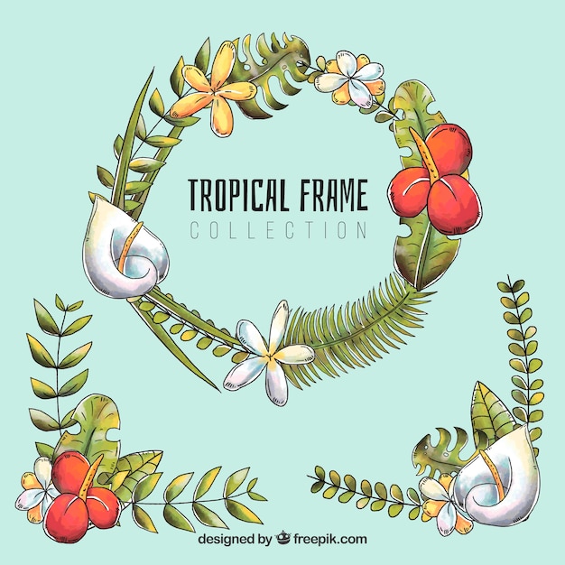 Mano disegnata sfondo tropicale cornice con ornamenti