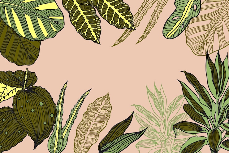 Free Vector hand drawn tropical leaves background