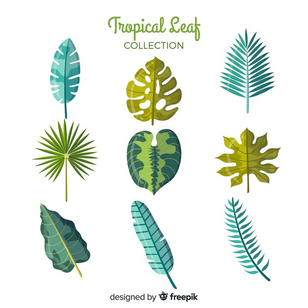 Hand drawn tropical leaves collection of nine