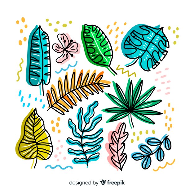 Hand drawn tropical leaves collection