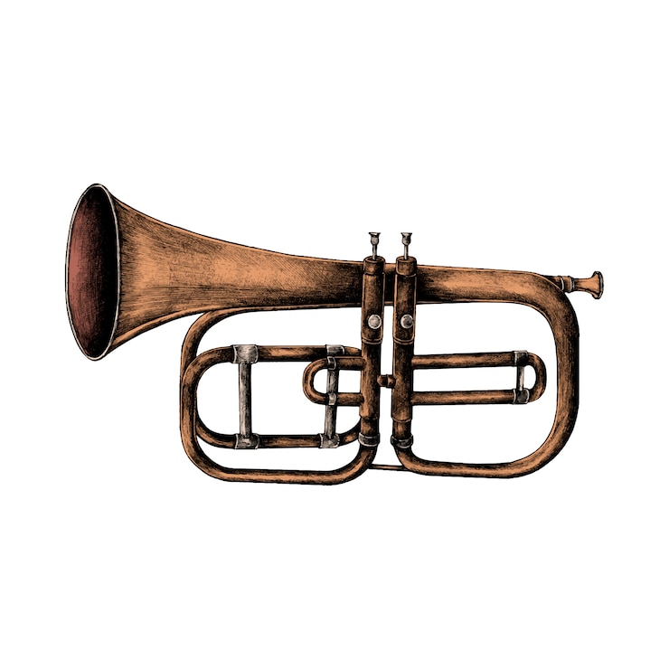 Free Vector hand drawn trumpet isolated on white background