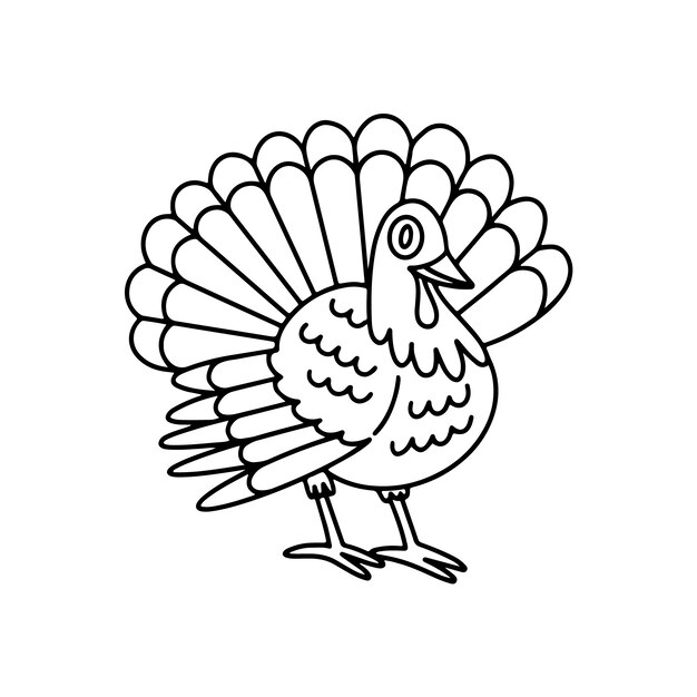 Hand drawn turkey outline illustration