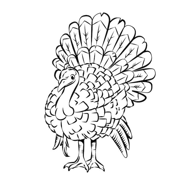 Hand drawn turkey outline illustration