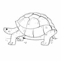 Free vector hand drawn turtle  outline illustration