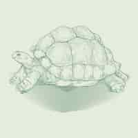 Free vector hand drawn turtle outline illustration