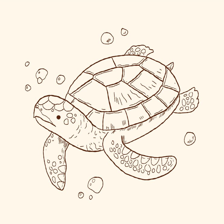 Free Vector hand drawn turtle outline illustration