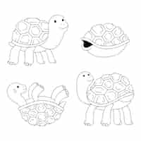 Free vector hand drawn turtle outline illustration