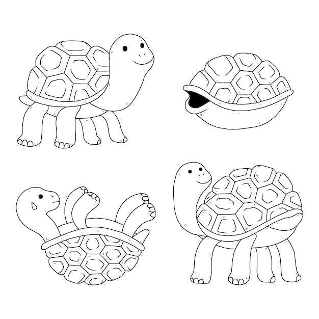 Hand drawn turtle outline illustration