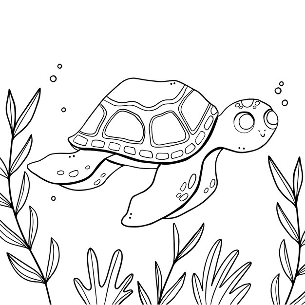 Hand drawn turtle outline illustration