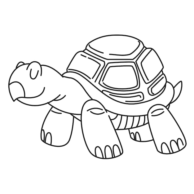 Free vector hand drawn turtle outline illustration