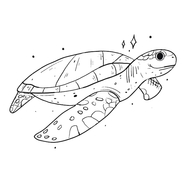 Hand drawn turtle outline illustration