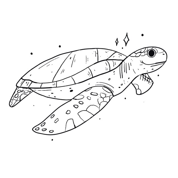 Hand drawn turtle outline illustration