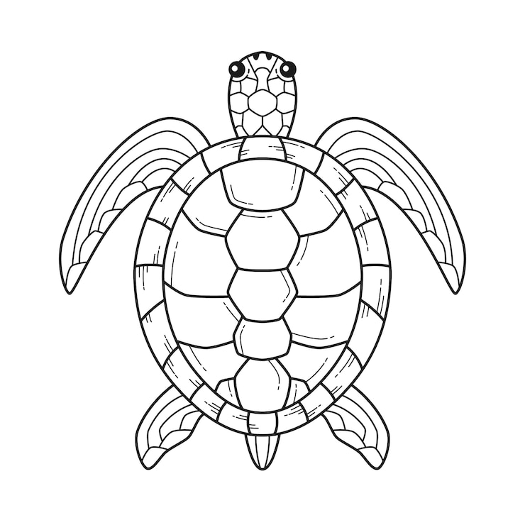 Free Vector hand drawn turtle outline illustration