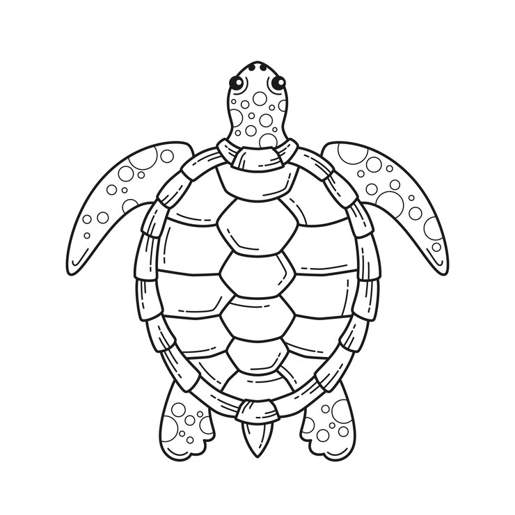 Free Vector hand drawn turtle outline illustration