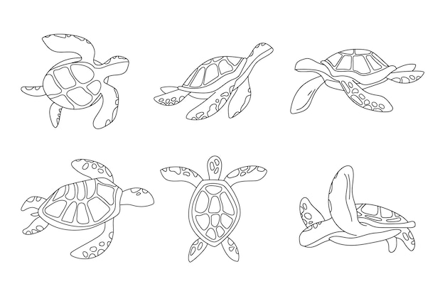 Hand drawn turtle outline