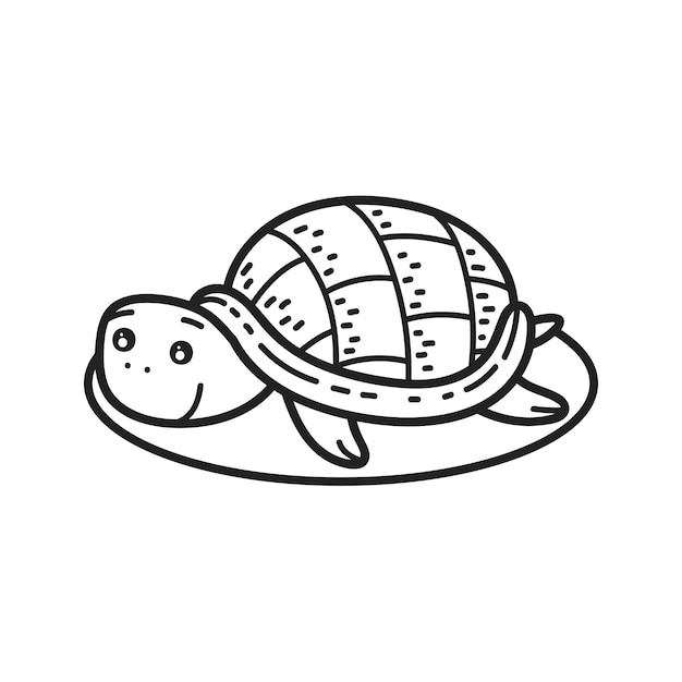 Hand drawn turtle outline