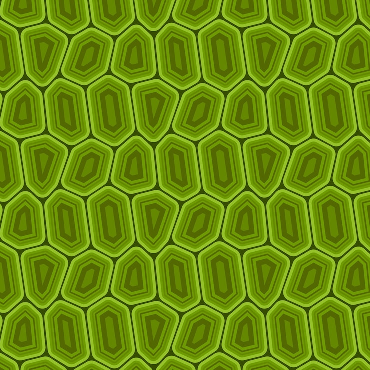 Free Vector hand drawn turtle shell pattern