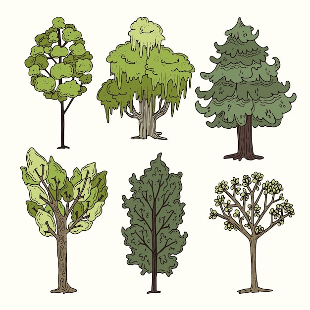 Tipo di collezione di alberi disegnati a mano