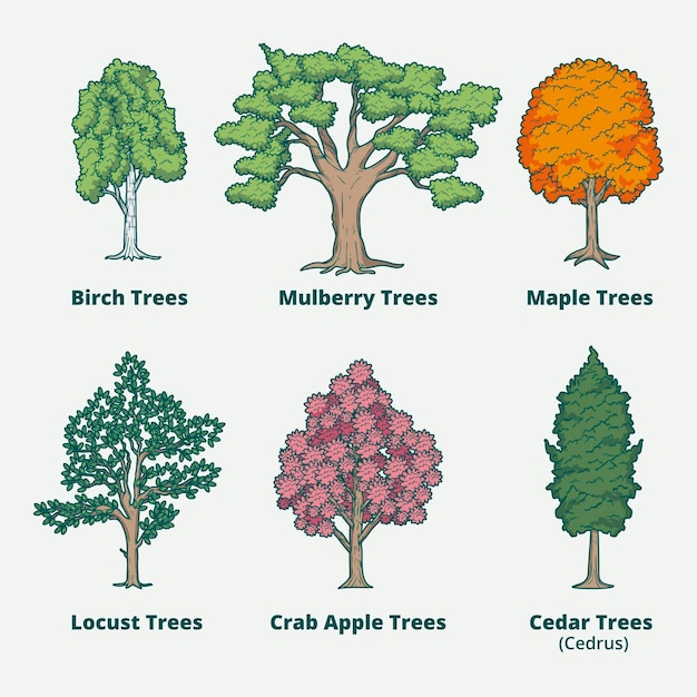 Free vector hand drawn type of trees collection