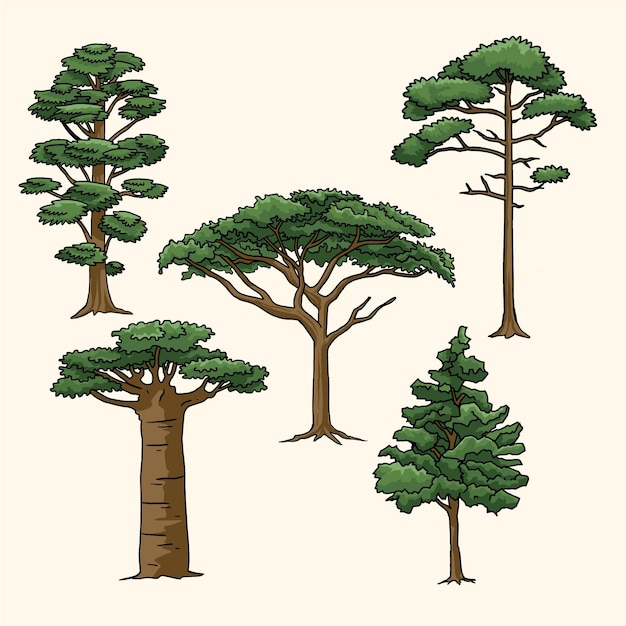 hand drawn type of trees