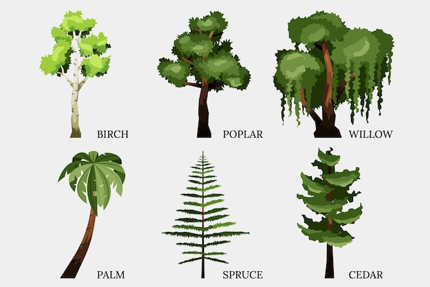 Free vector hand drawn type of trees