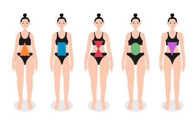 Бесплатное векторное изображение Рисованные типы женского тела