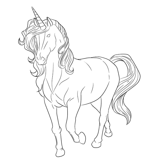 Hand drawn unicorn outline illustration