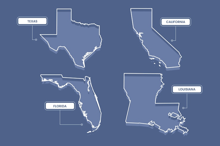 Free Vector hand drawn usa states outline map