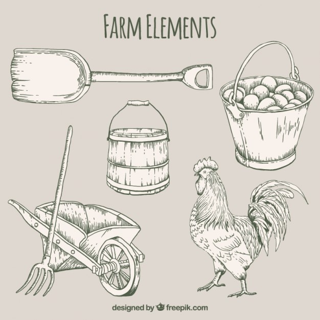 Vettore gratuito disegnata a mano elementi agricoli utili e gallo