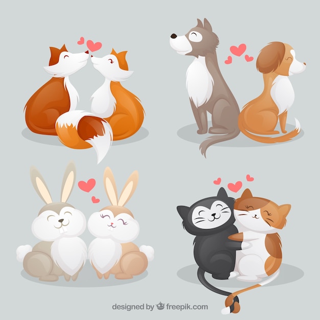 Hand drawn valentine's day animal couple collection