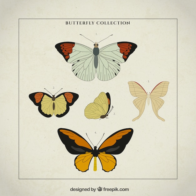 Free vector hand drawn variety of vintage butterflies