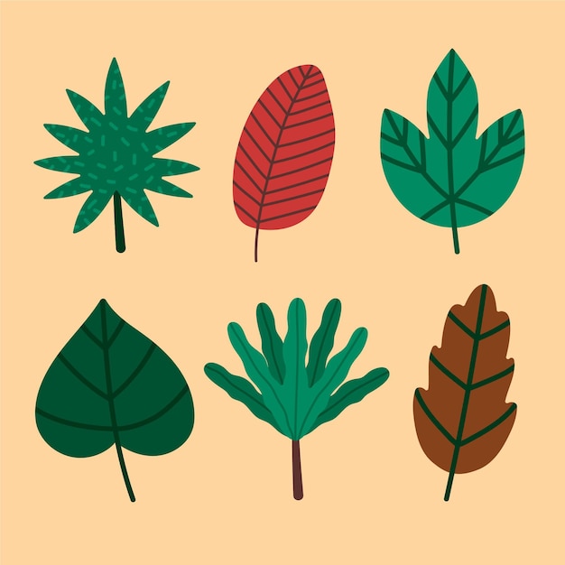 Free vector hand drawn various types of leaves