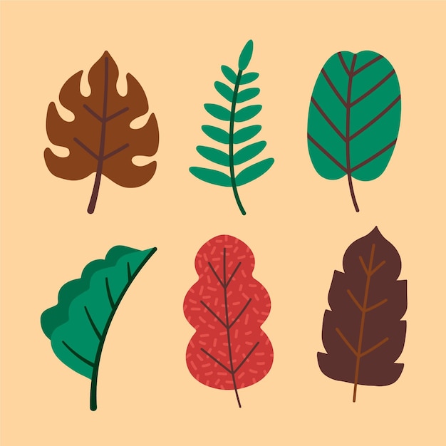 Бесплатное векторное изображение Рисованной различные типы листьев