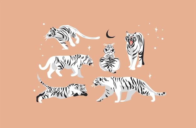 Hand drawn vector abstract stock graphic cartoon illustration with beauty cute celestial trendy wildlife white,moon tiger,moon and stars collection set.magic boho clipart elements,chinese zodiac sign.