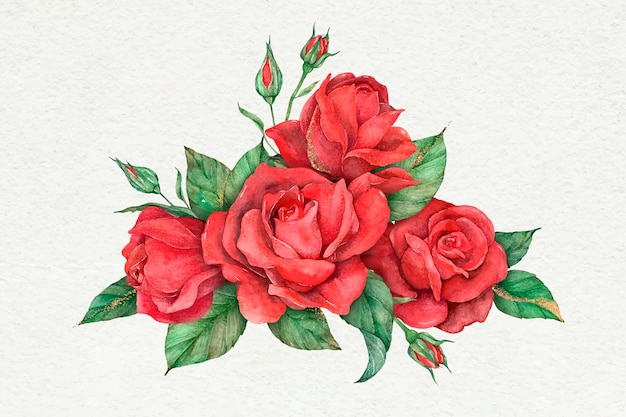 Fiore di rosa rossa di vettore disegnato a mano