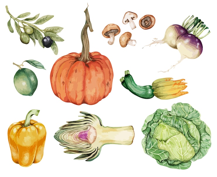 Free Vector hand drawn vegetable collection vector