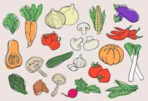 Free vector hand drawn vegetables collection