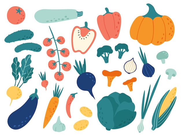 손으로 그린 야채. 채소 영양 낙서, 유기농 채식 음식 및 야채한다면 그림 세트 프리미엄 벡터
