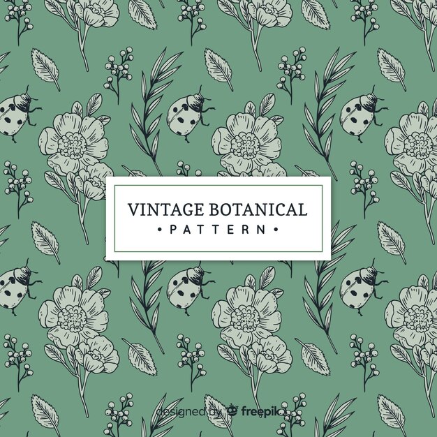 Hand drawn vintage botanical background