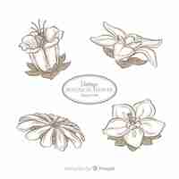 Free vector hand drawn vintage flower collection