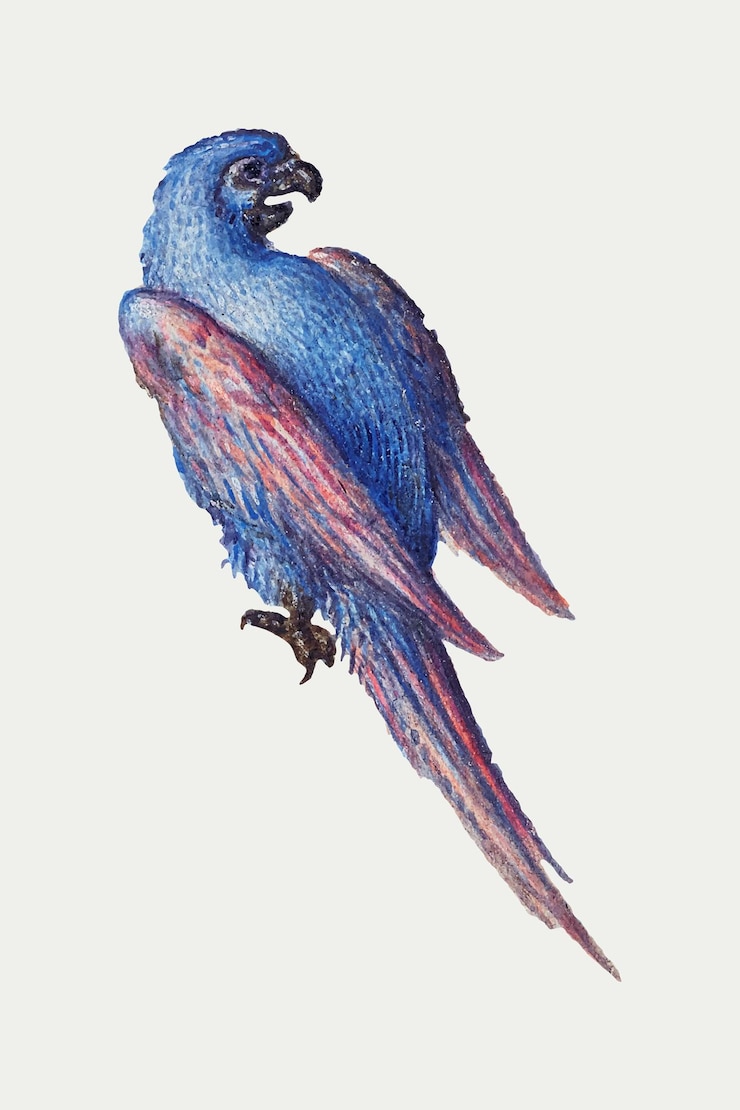 Free Vector hand drawn vintage parrot bird