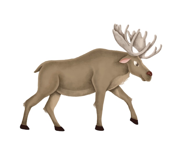 Free vector hand-drawn walking cute moose