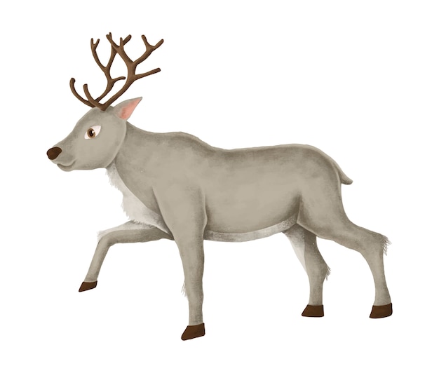 Hand-drawn walking reindeer