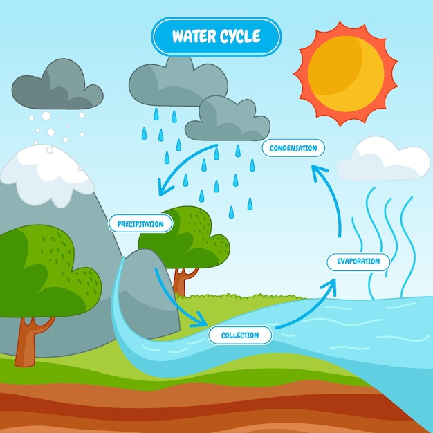 Illustrazione disegnata a mano del ciclo dell'acqua