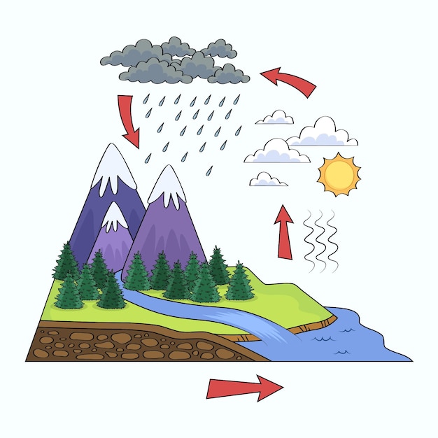 Illustrazione disegnata a mano del ciclo dell'acqua